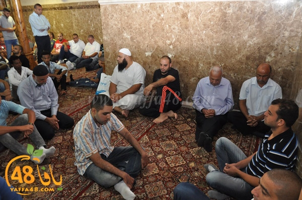 3ed ad7a ma7modiya (5).JPG